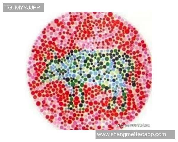 色盲色弱足球明星的奋斗历程与辉煌成就分享