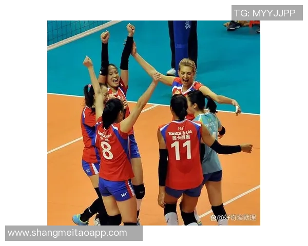 西安排球队在总决赛中的实力展现与战术分析